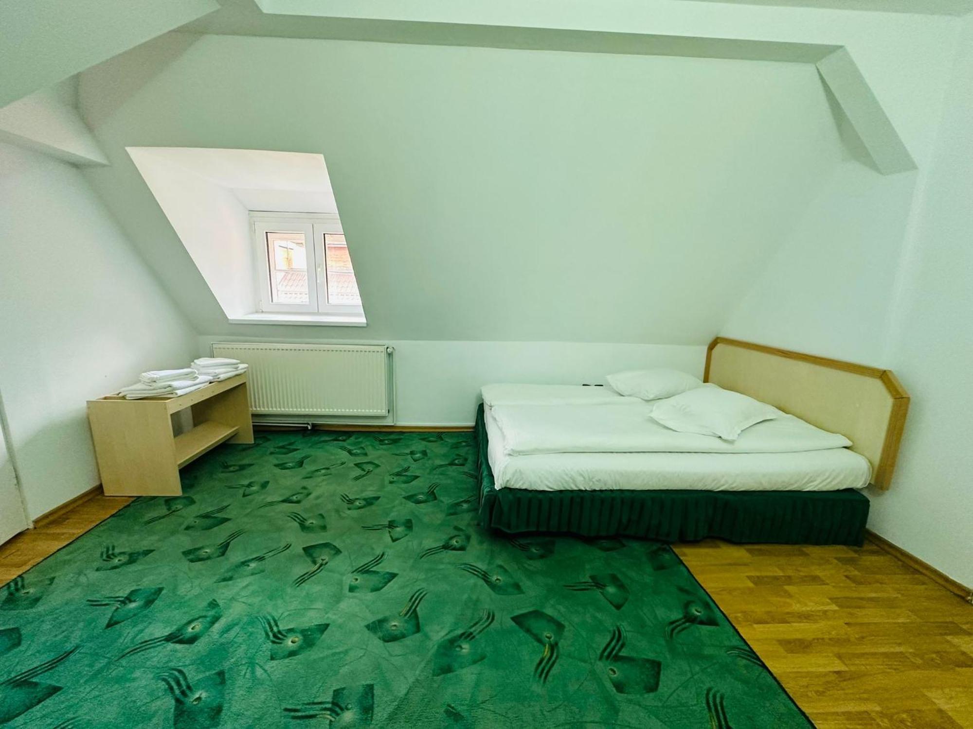 Rapsodia Sinaia Bed & Breakfast エクステリア 写真