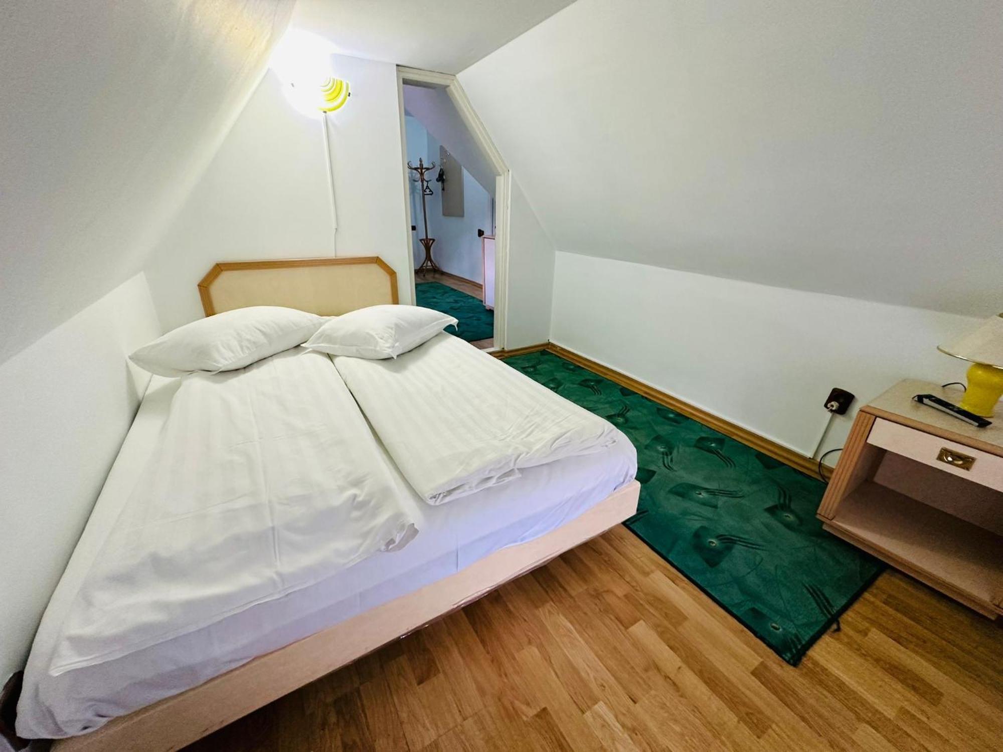 Rapsodia Sinaia Bed & Breakfast エクステリア 写真