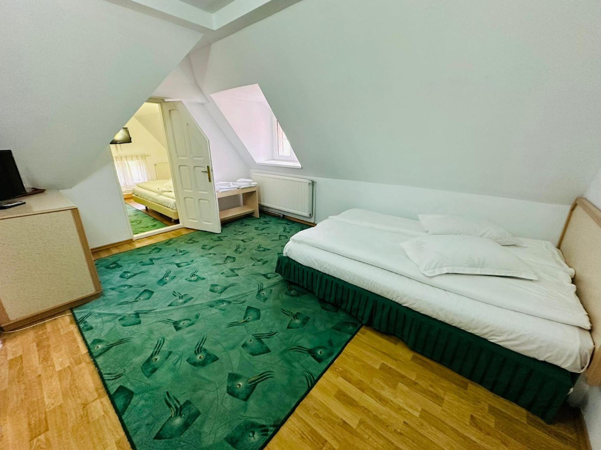 Rapsodia Sinaia Bed & Breakfast エクステリア 写真