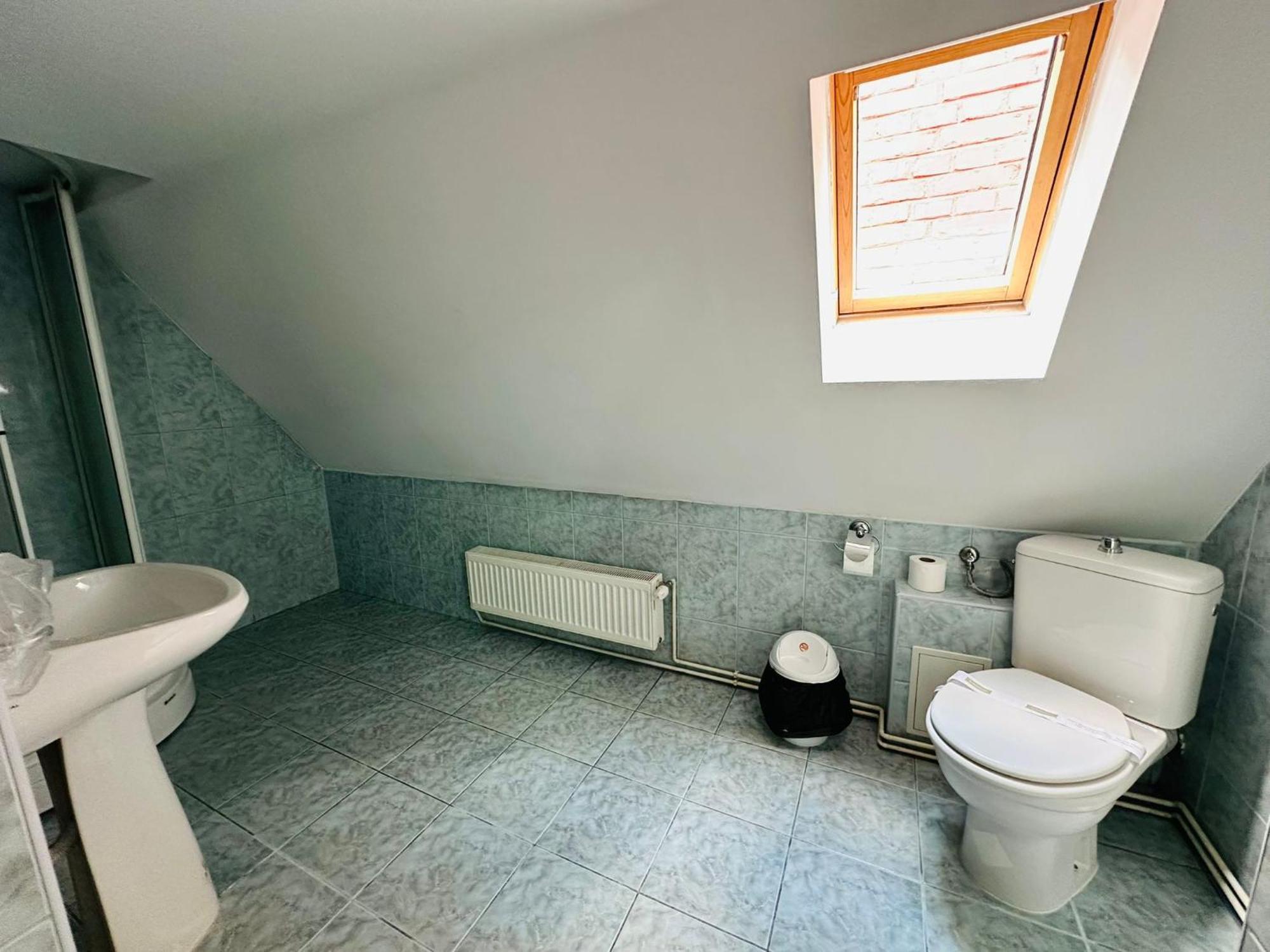 Rapsodia Sinaia Bed & Breakfast エクステリア 写真