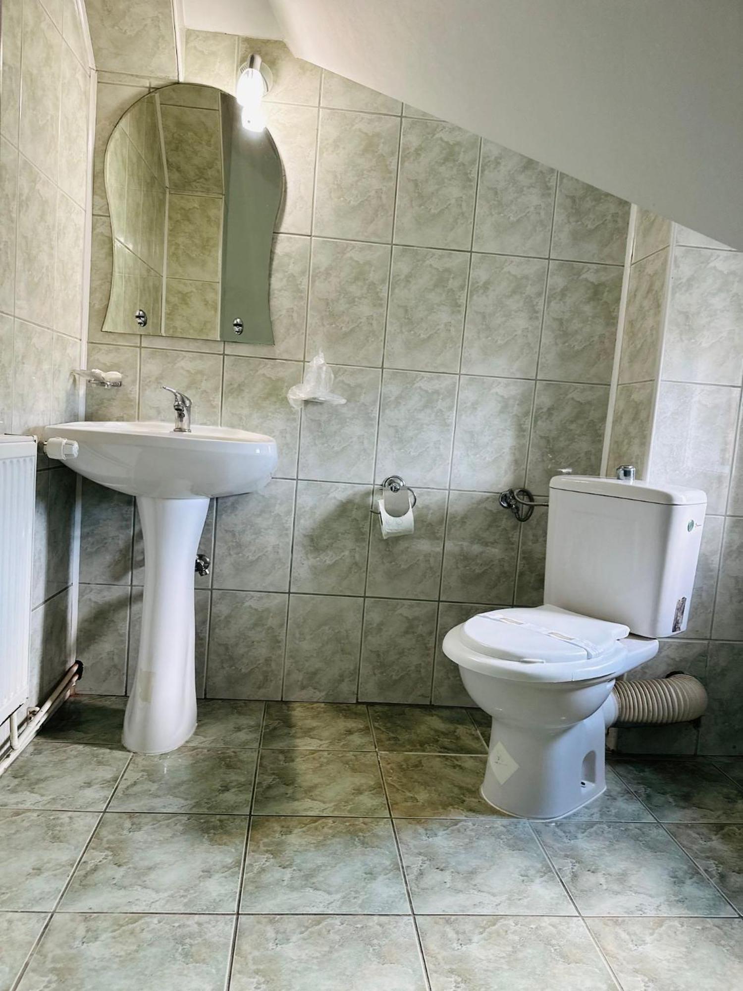 Rapsodia Sinaia Bed & Breakfast エクステリア 写真
