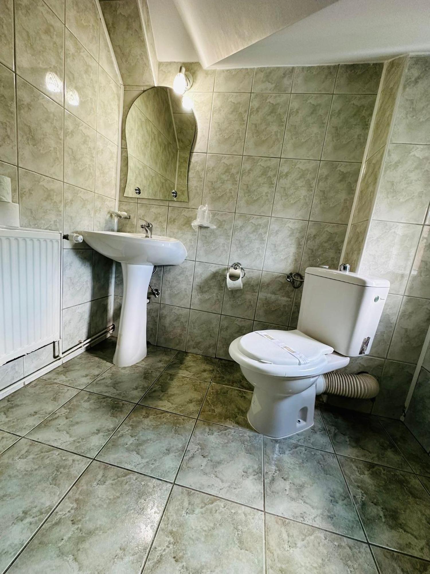 Rapsodia Sinaia Bed & Breakfast エクステリア 写真