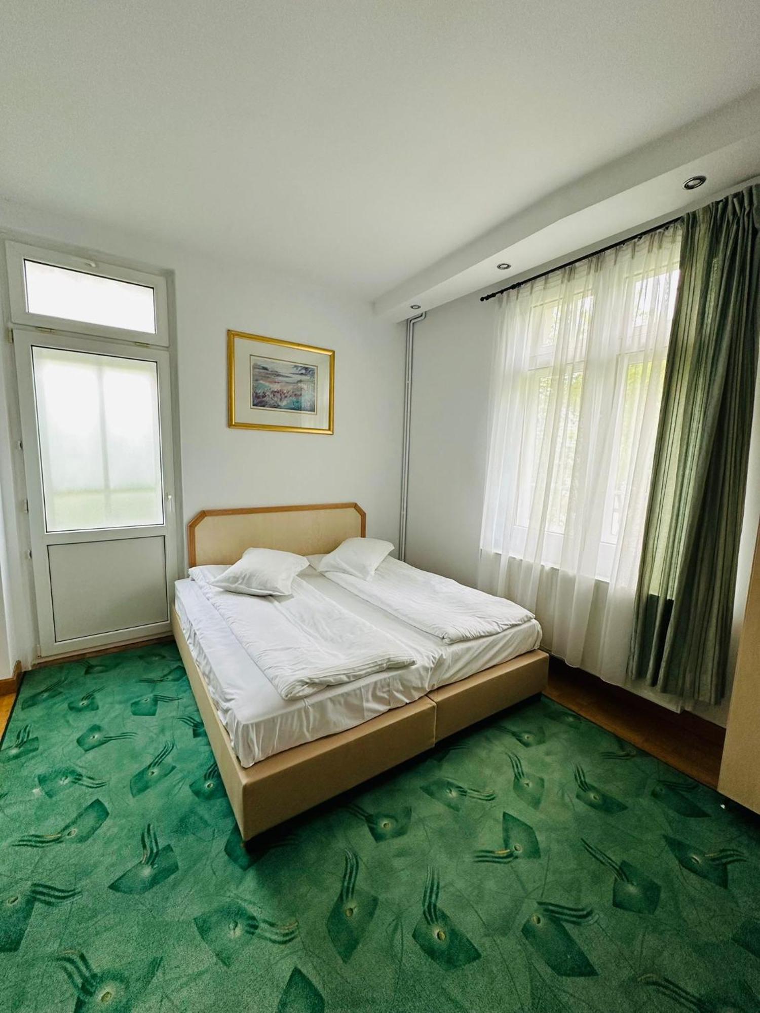 Rapsodia Sinaia Bed & Breakfast エクステリア 写真