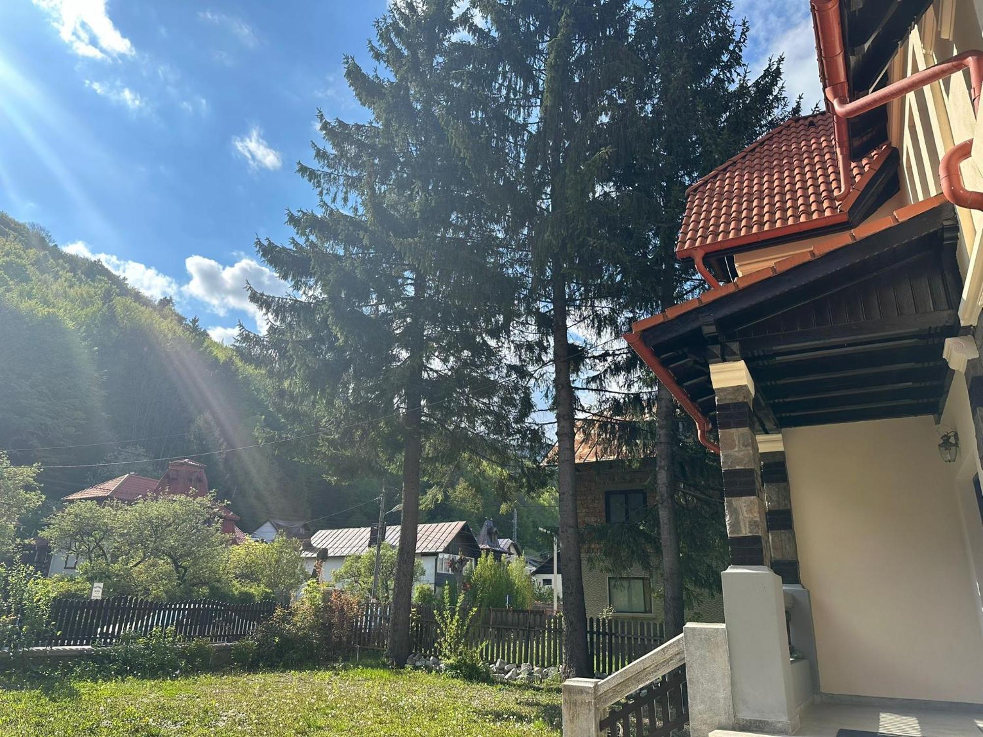 Rapsodia Sinaia Bed & Breakfast エクステリア 写真