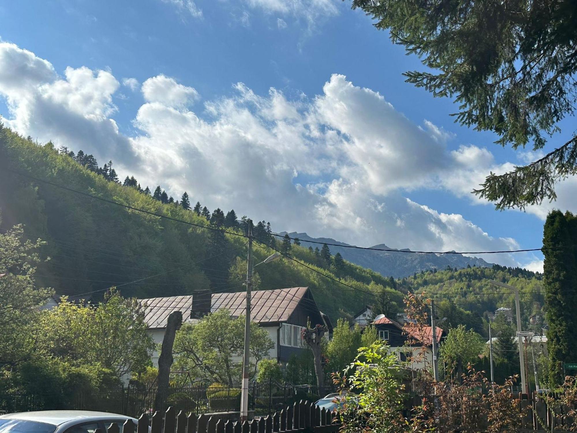 Rapsodia Sinaia Bed & Breakfast エクステリア 写真