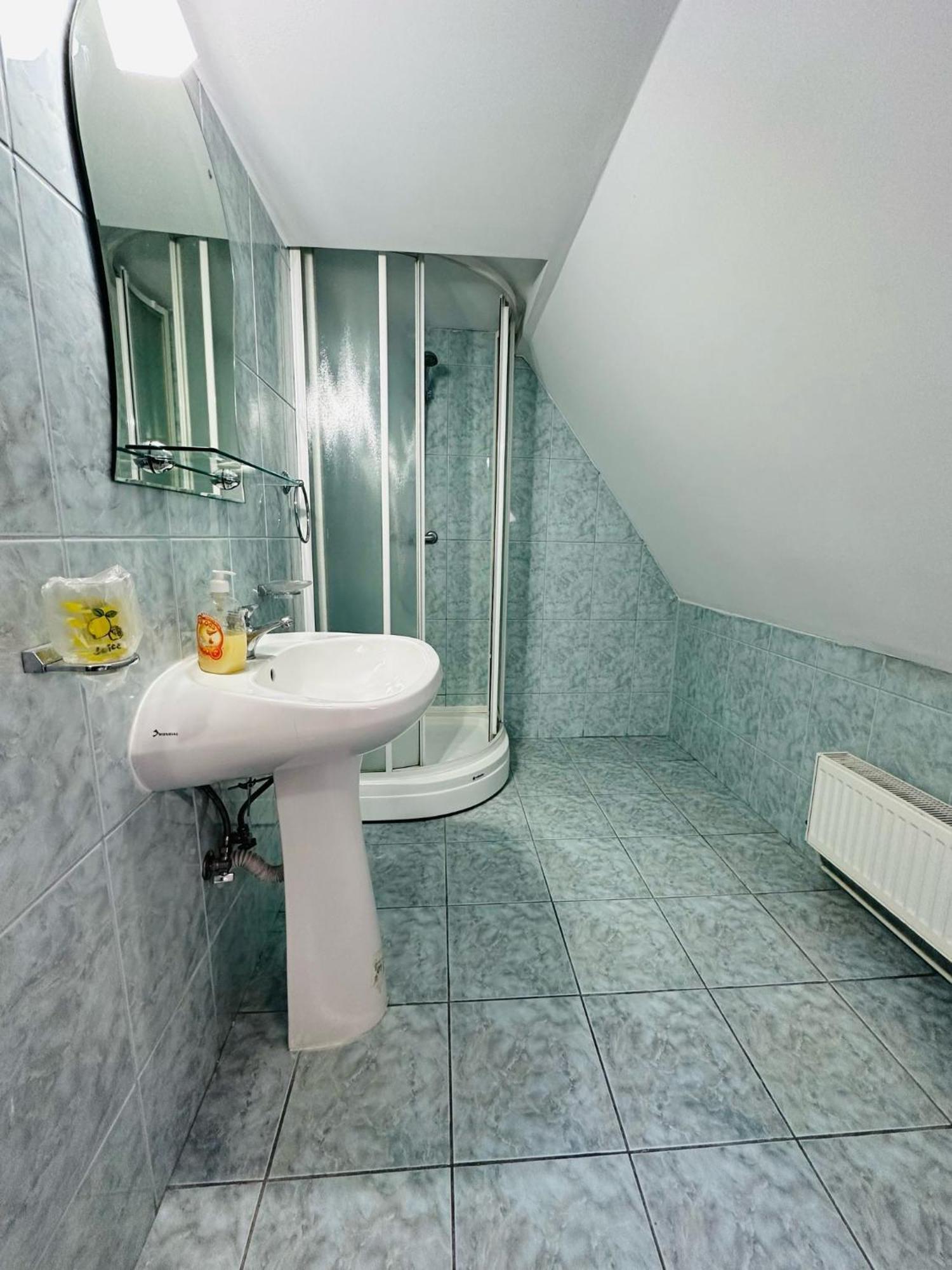 Rapsodia Sinaia Bed & Breakfast エクステリア 写真