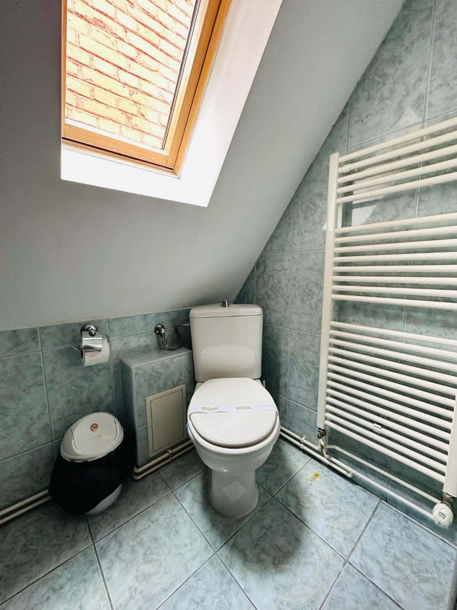 Rapsodia Sinaia Bed & Breakfast エクステリア 写真