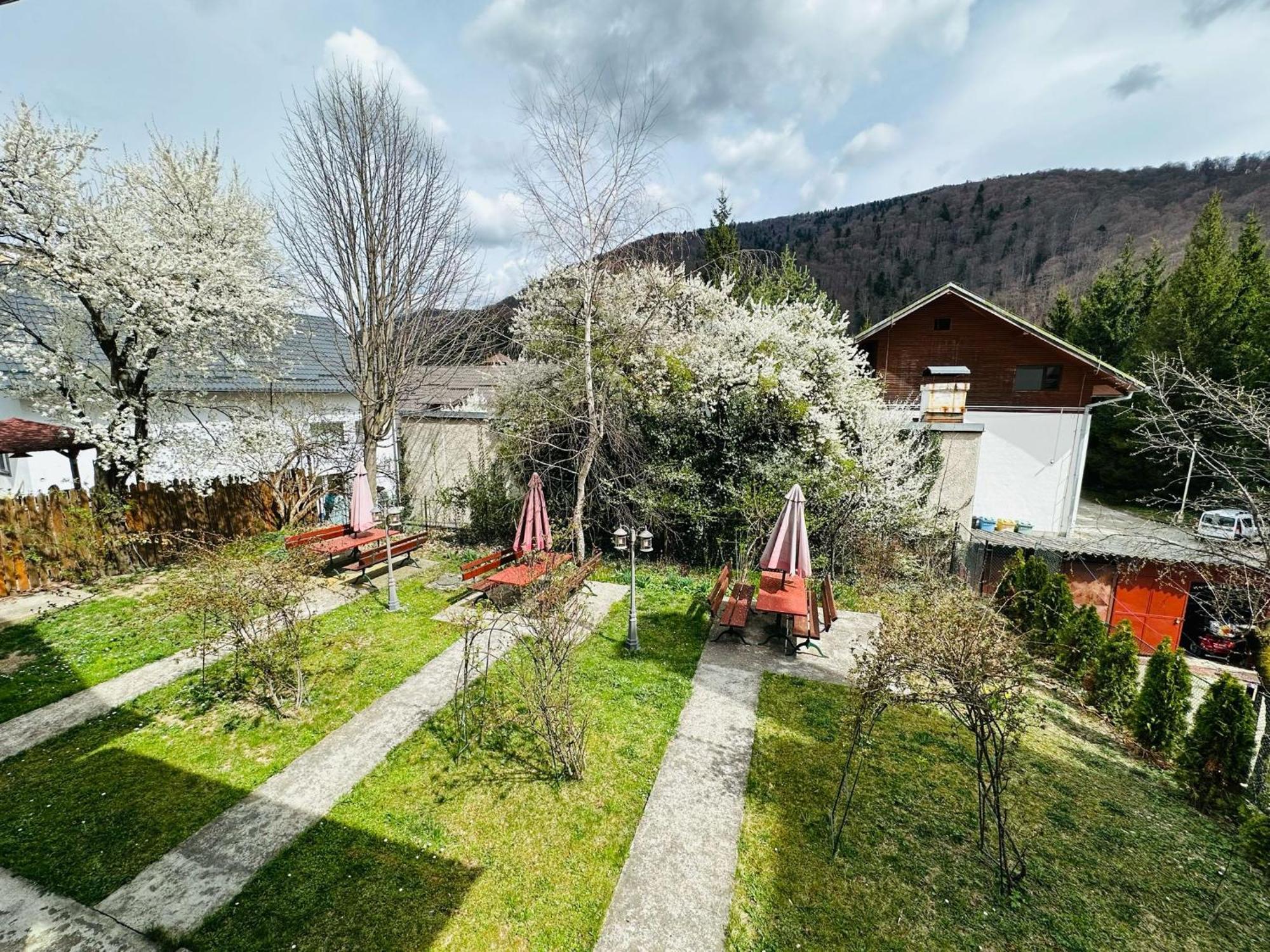 Rapsodia Sinaia Bed & Breakfast エクステリア 写真