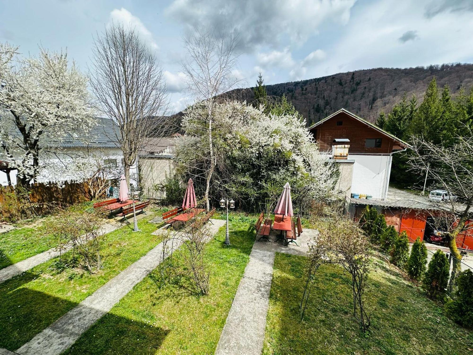 Rapsodia Sinaia Bed & Breakfast エクステリア 写真