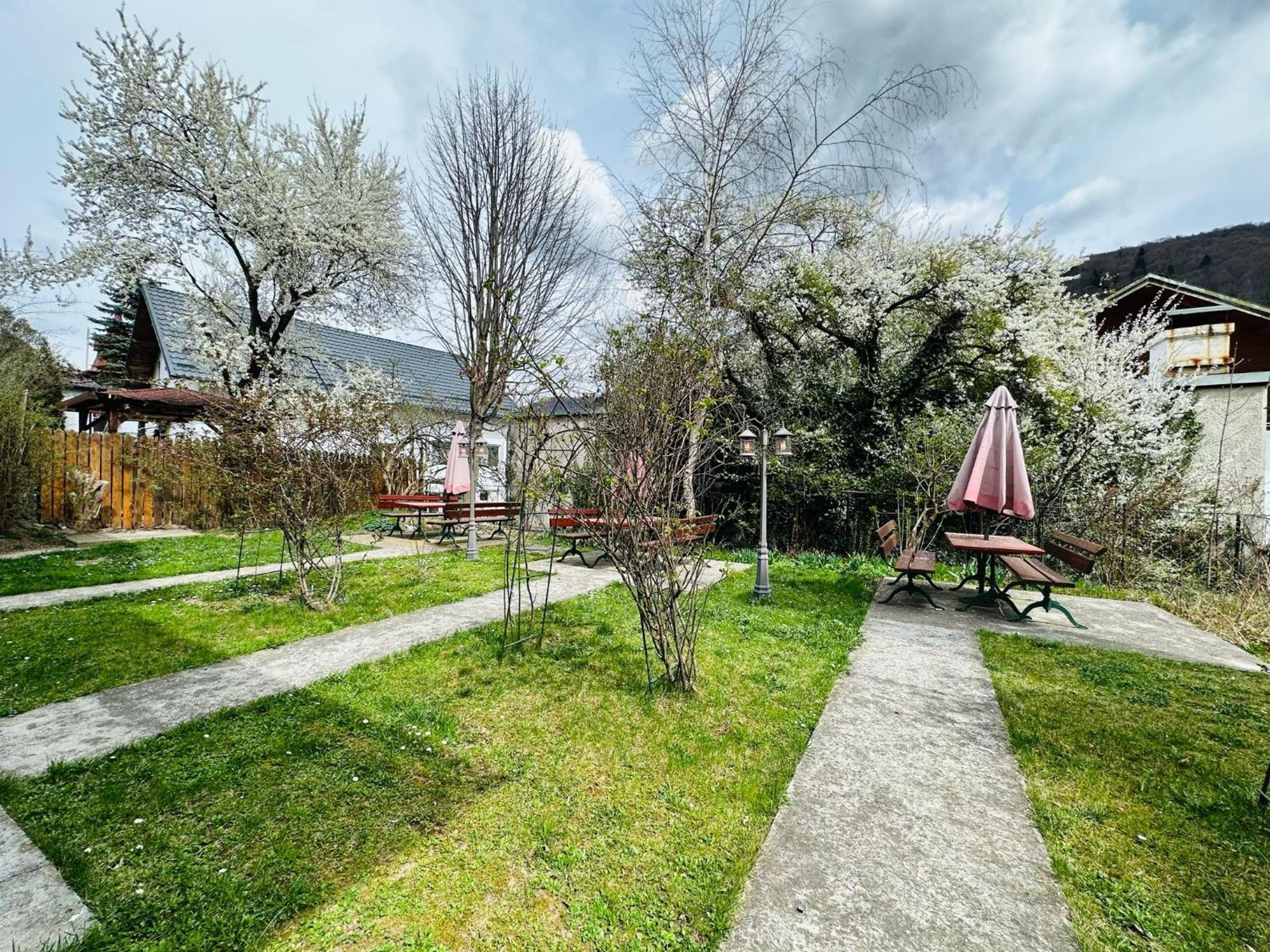 Rapsodia Sinaia Bed & Breakfast エクステリア 写真